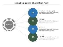 Small business budgeting app ppt powerpoint presentation outline graphics cpb