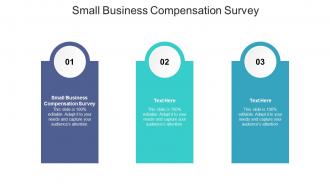 Small business compensation survey ppt powerpoint presentation file layout ideas cpb