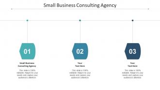 Small Business Consulting Agency Ppt Powerpoint Presentation Model Styles Cpb