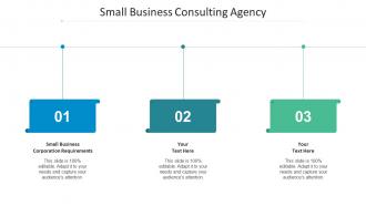Small Business Corporation Requirements Ppt Powerpoint Presentation Outline Slideshow Cpb