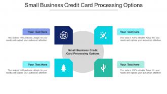 Small Business Credit Card Processing Options Ppt Powerpoint Presentation Styles Cpb