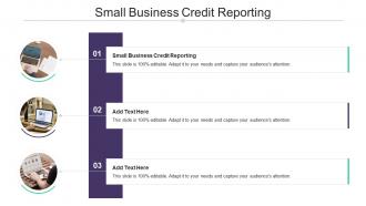 Small Business Credit Reporting In Powerpoint And Google Slides Cpb