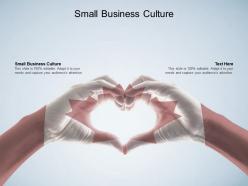 Small business culture ppt powerpoint presentation portfolio ideas cpb