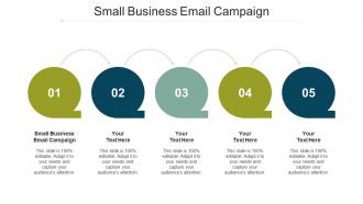 Small Business Email Campaign Ppt Powerpoint Presentation Infographic Cpb