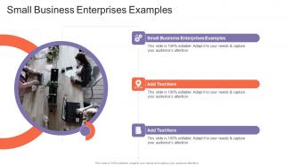 Small Business Enterprises Examples In Powerpoint And Google Slides Cpb