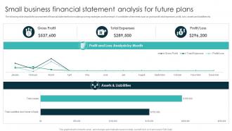 Small Business Financial Statement Analysis For Future Plans