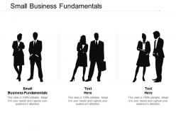 Small business fundamentals ppt powerpoint presentation portfolio graphics template cpb