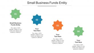 Small Business Funds Entity Ppt Powerpoint Presentation Layouts Structure Cpb