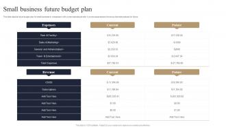 Small Business Future Budget Plan