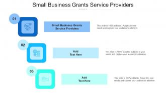 Small Business Grants Service Providers Ppt Powerpoint Presentation Shapes Cpb