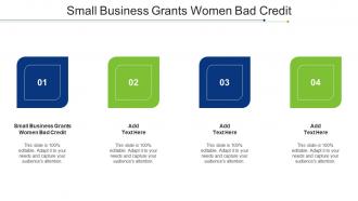 Small Business Grants Women Bad Credit Ppt Powerpoint Presentation Example Cpb