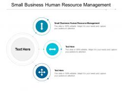 Small business human resource management ppt powerpoint presentation infographic cpb