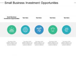 Small business investment opportunities ppt powerpoint presentation outline cpb