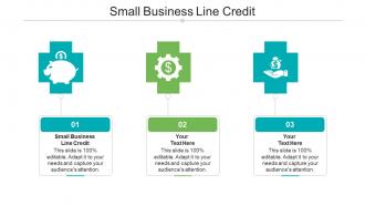 Small business line credit ppt powerpoint presentation show topics cpb