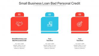 Small Business Loan Bad Personal Credit Ppt Powerpoint Presentation Icon Cpb