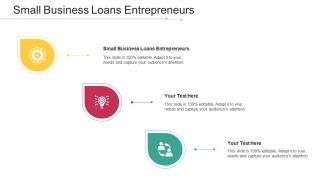 Small Business Loans Entrepreneurs Ppt Powerpoint Presentation Infographic Template Cpb