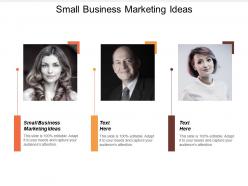 Small business marketing ideas ppt powerpoint presentation infographics outline cpb