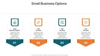 Small Business Options In Powerpoint And Google Slides Cpb
