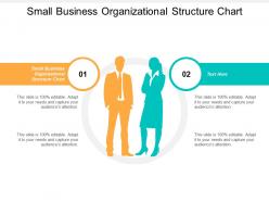 Small business organizational structure chart ppt powerpoint presentation icon good cpb