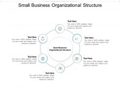 Small business organizational structure ppt powerpoint presentation infographic template deck cpb