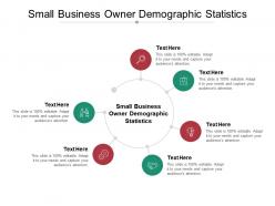 Small business owner demographic statistics ppt powerpoint presentation professional examples cpb