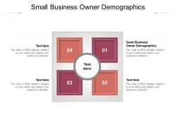Small business owner demographics ppt powerpoint presentation styles picture cpb