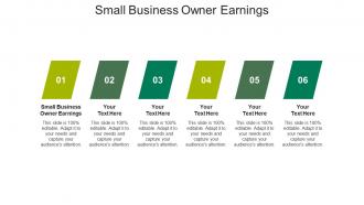 Small business owner earnings ppt powerpoint presentation ideas diagrams cpb