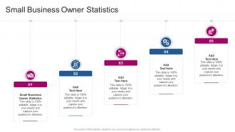 Small Business Owner Statistics In Powerpoint And Google Slides Cpb