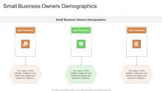 Small Business Owners Demographics In Powerpoint And Google Slides Cpb