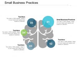 Small business practices ppt powerpoint presentation portfolio graphics tutorials cpb