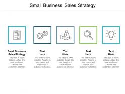 Small business sales strategy ppt powerpoint presentation visual aids files cpb