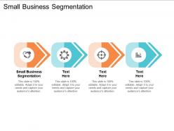 Small business segmentation ppt powerpoint presentation gallery designs cpb
