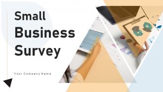 Small Business Survey Powerpoint Ppt Template Bundles Survey