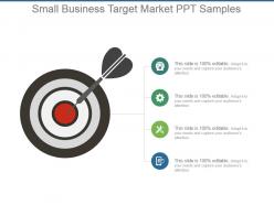 Small Business Target Market Ppt Samples
