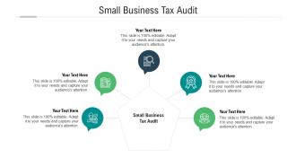 Small business tax audit ppt powerpoint presentation visual aids icon cpb