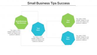 Small business tips success ppt powerpoint presentation icon show cpb