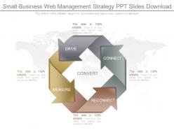 Small business web management strategy ppt slides download