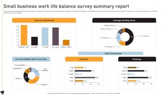 Small Business Work Life Balance Survey Summary Report Survey SS