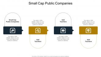 Small Cap Public Companies In Powerpoint And Google Slides Cpb