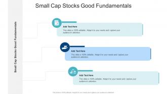 Small Cap Stocks Good Fundamentals In Powerpoint And Google Slides Cpb