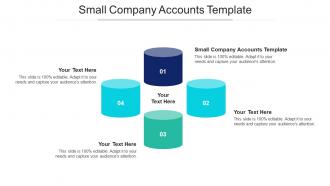 Small Company Accounts Template Ppt Powerpoint Presentation Icon Graphics Cpb