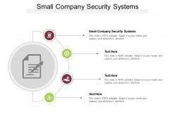 Small company security systems ppt powerpoint presentation summary pictures cpb