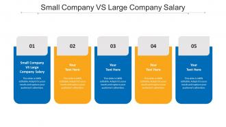 Small Company Vs Large Company Salary Ppt Powerpoint Presentation Information Cpb
