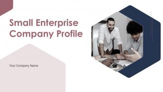 Small Enterprise Company Profile Powerpoint Presentation Slides