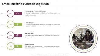 Small Intestine Function Digestion In Powerpoint And Google Slides Cpb