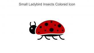 Small Ladybird Insects Colored Icon In Powerpoint Pptx Png And Editable Eps Format