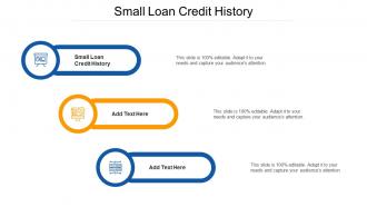 Small Loan Credit History Ppt Powerpoint Presentation Example Cpb