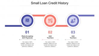 Small Loan Credit History Ppt Powerpoint Presentation Templates Cpb