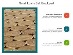 Small loans self employed ppt powerpoint presentation layouts example cpb