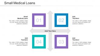 Small Medical Loans Ppt Powerpoint Presentation Professional Infographics Cpb
